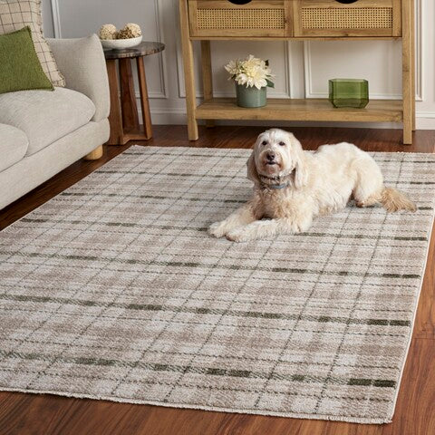 safavieh clearance oxford plaids 300 oxp304y beige rug