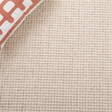 safavieh clearance palm beach pab626a ivory rug