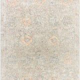 surya piccadilly pdy 2301 tan rug