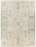 Hauteloom Penkridge PENK Sage Woven/Flatwoven Cotton Rug