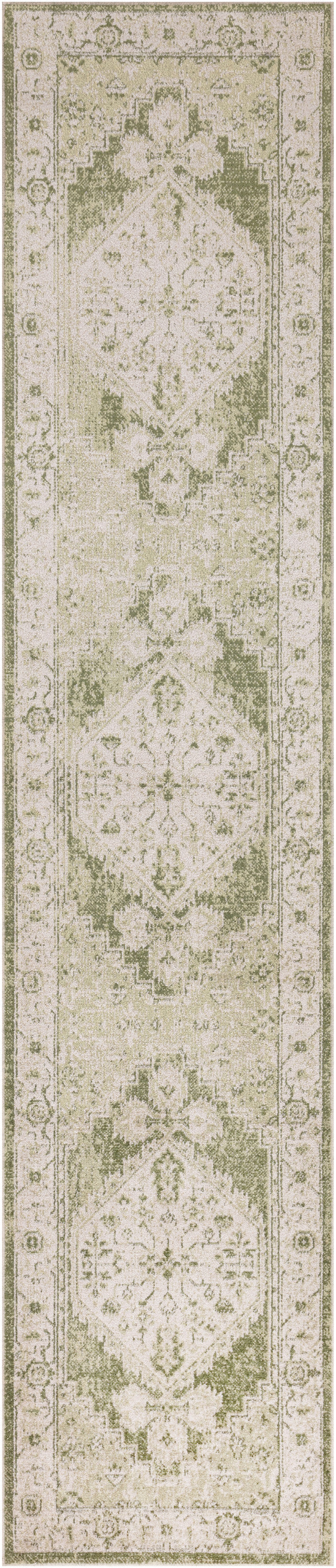 nourison astra machine washable asw11 ivory green rug