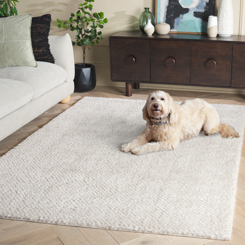 safavieh clearance penelope shag pnl500a ivory rug