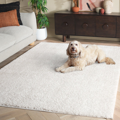 safavieh clearance penelope shag pnl540a ivory rug