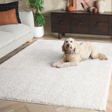 safavieh clearance penelope shag pnl540a ivory rug