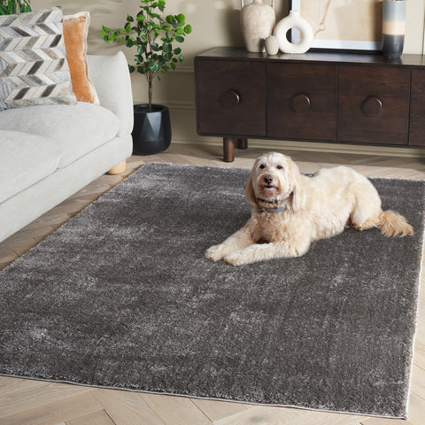 safavieh clearance penelope shag pnl540f grey rug