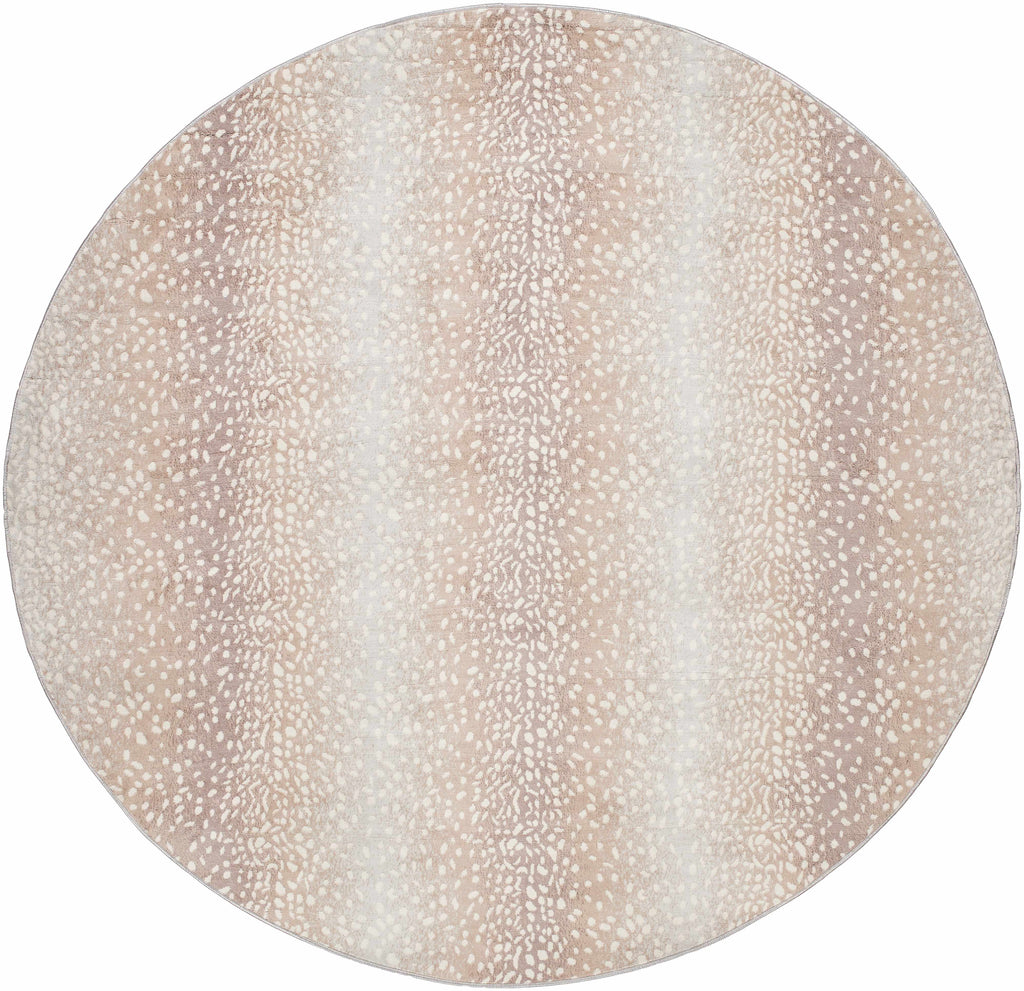 Hauteloom Pointblank PNTB Gray Machine Made Polypropylene Rug