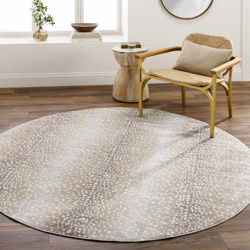 Hauteloom Pointblank PNTB Gray Machine Made Polypropylene Rug
