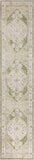 nourison astra machine washable asw11 ivory green rug