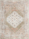 nourison astra machine washable asw11 sage multicolor rug