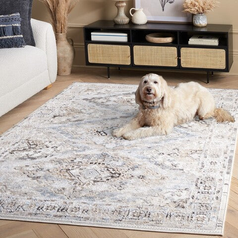 safavieh clearance quincy qcy114a ivory rug