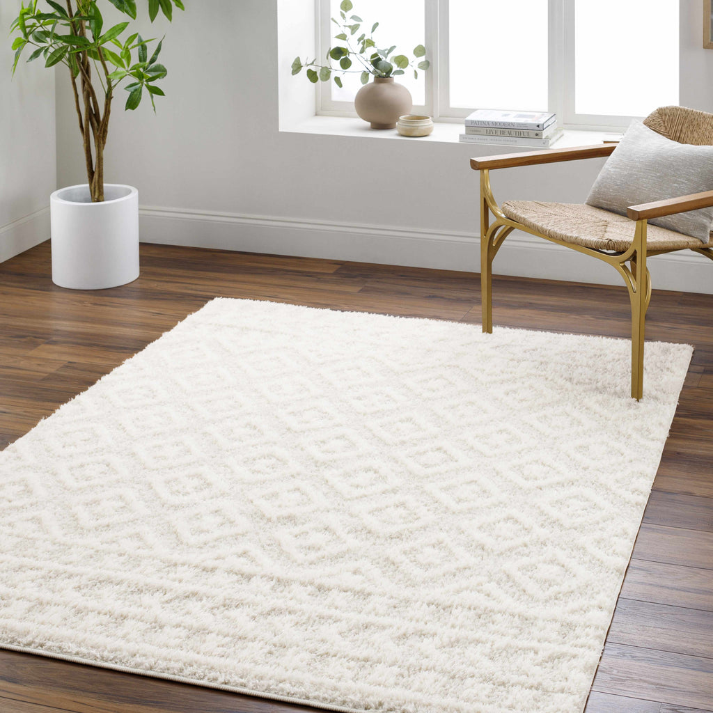 Hauteloom Eivin HRDOEIVINA1 Cream Machine Made Polyester Rug