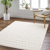 Hauteloom Eivin HRDOEIVINA1 Cream Machine Made Polyester Rug