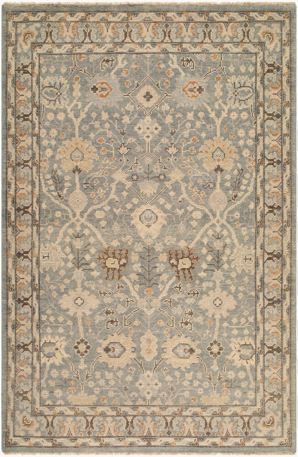 surya reign reg 2311 light brown rug
