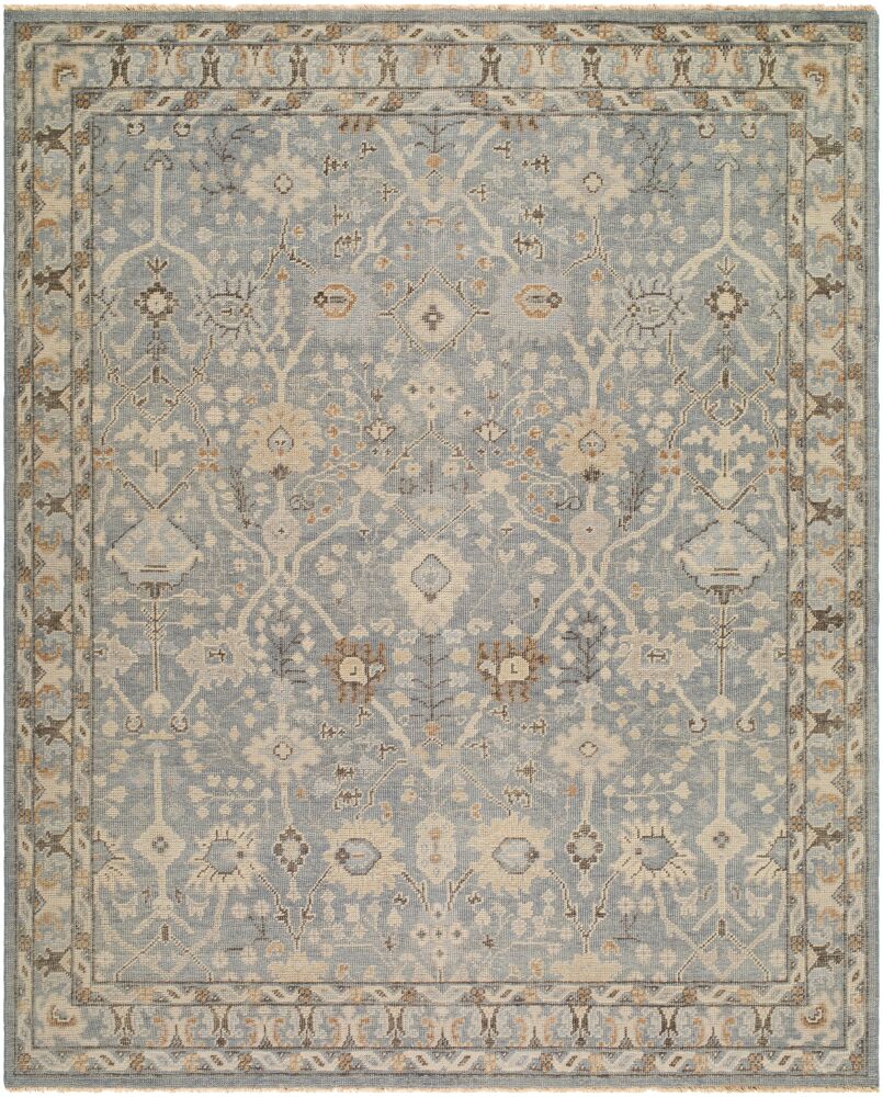surya reign reg 2311 light brown rug