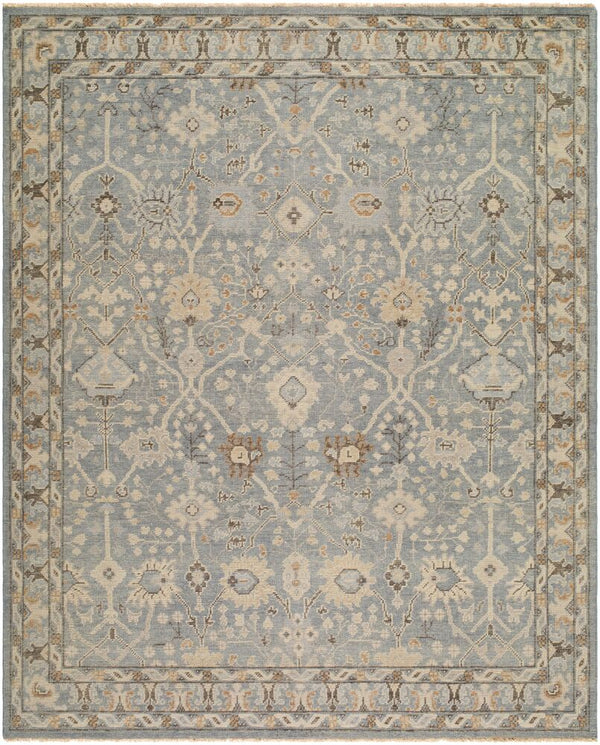 surya reign reg 2311 light brown rug