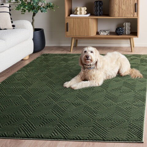 safavieh clearance revive rev116y green rug