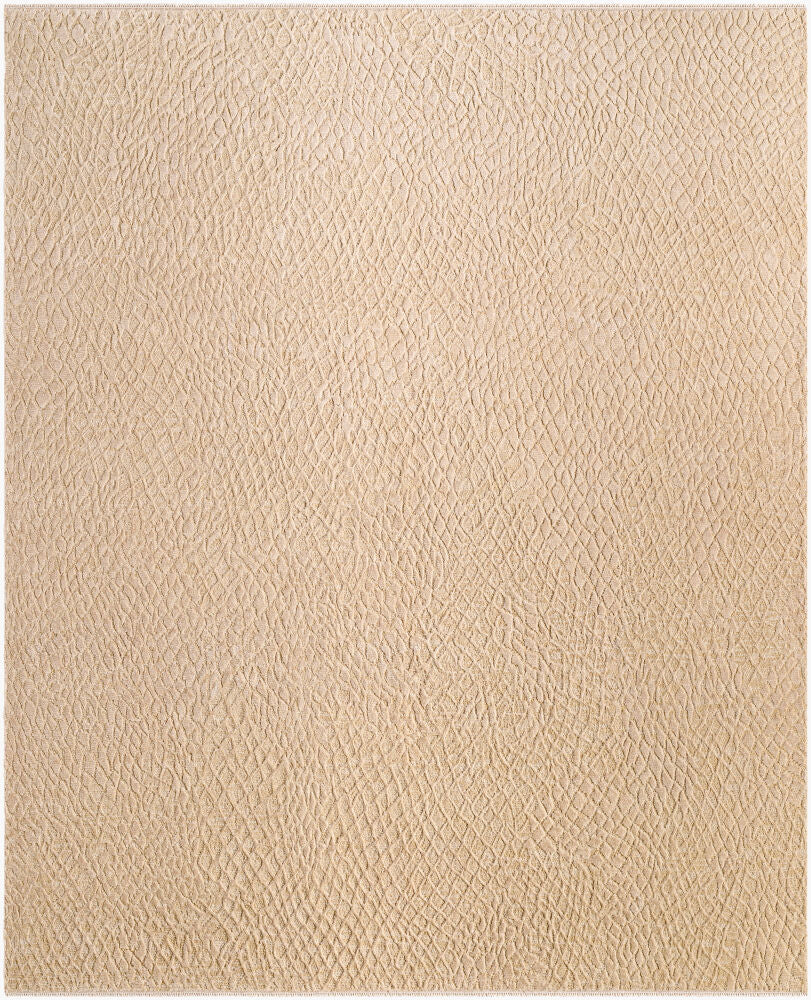surya reyyan rhe 2300 beige rug
