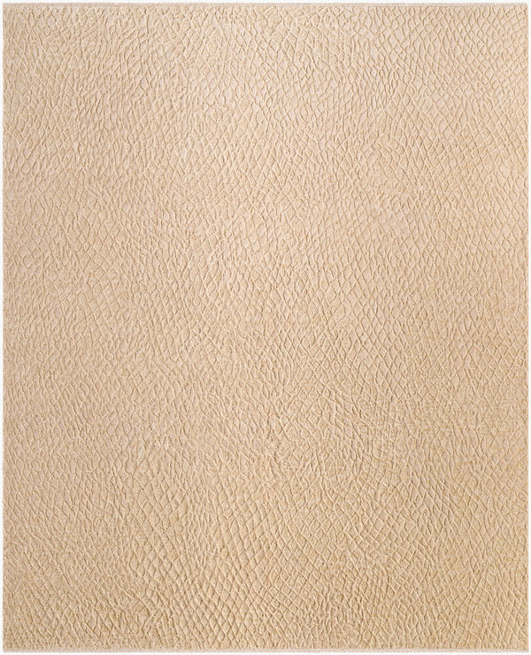 surya reyyan rhe 2300 beige rug