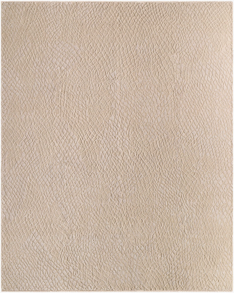 surya reyyan rhe 2302 beige rug