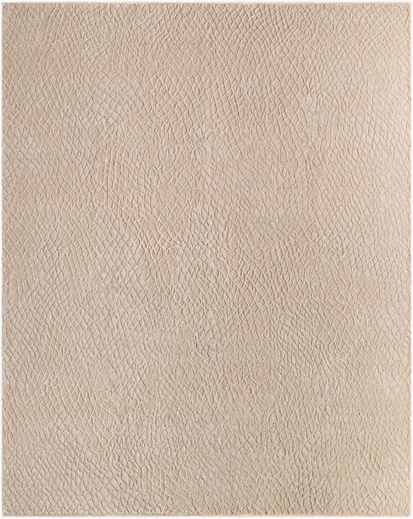 surya reyyan rhe 2302 beige rug