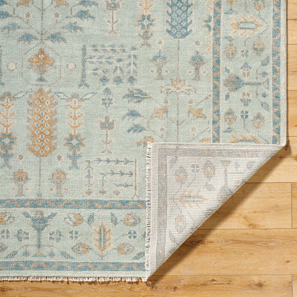 surya riviera riv 2304 sky blue rug