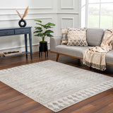 Hauteloom Chinnor CHINN Light Gray Machine Made Polypropylene Rug