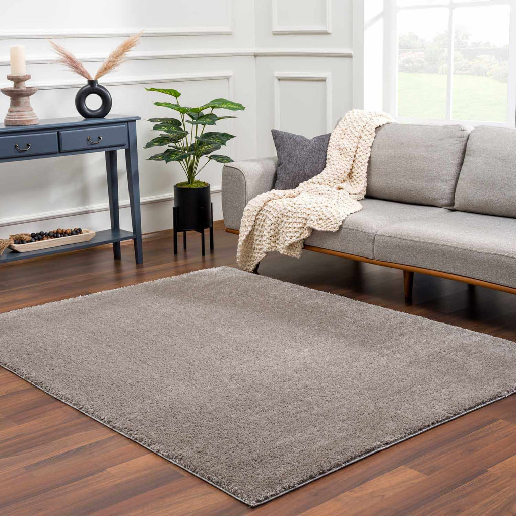 Hauteloom Heavenly HVL6205 Gray Machine Made Polyester Rug