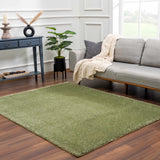 Hauteloom Heavenly HVL6207 Green Machine Made Polyester Rug