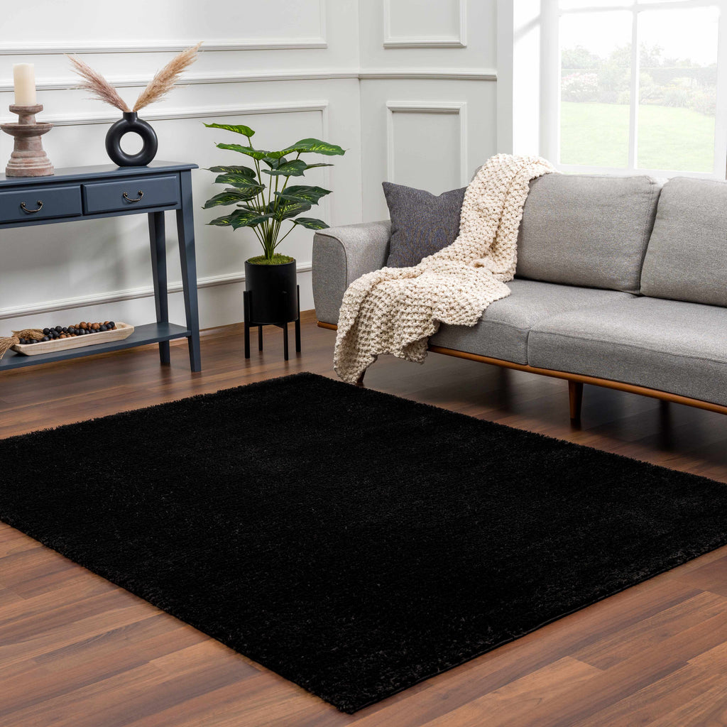 Hauteloom Heavenly HVL6201 Black Machine Made Polyester Rug