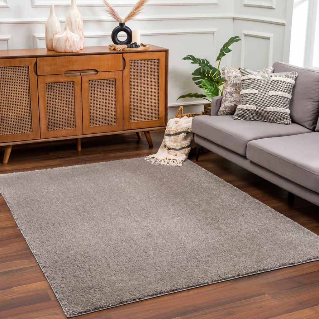 Hauteloom Heavenly HVL6205 Gray Machine Made Polyester Rug