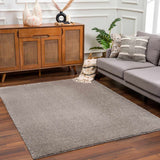 Hauteloom Heavenly HVL6205 Gray Machine Made Polyester Rug