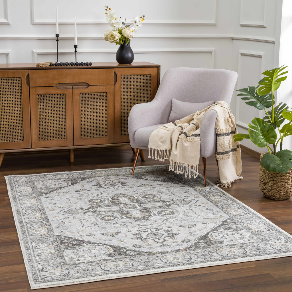 Hauteloom Liverpool LVP4115 Charcoal Machine Made Polypropylene Rug
