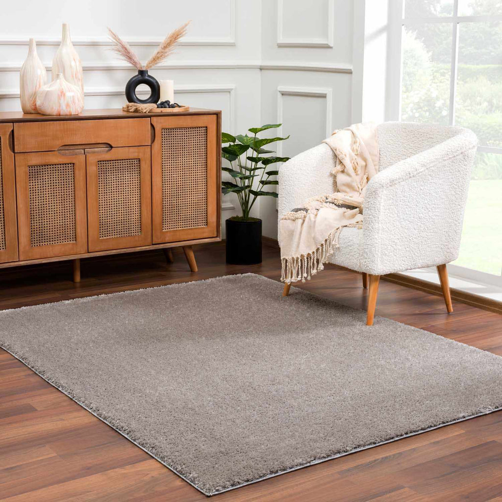 Hauteloom Heavenly HVL6205 Gray Machine Made Polyester Rug