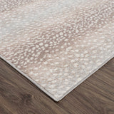 Hauteloom Pointblank PNTB Gray Machine Made Polypropylene Rug