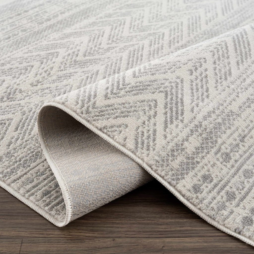 Hauteloom Chinnor CHINN Light Gray Machine Made Polypropylene Rug
