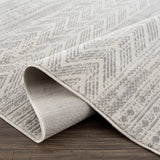 Hauteloom Chinnor CHINN Light Gray Machine Made Polypropylene Rug
