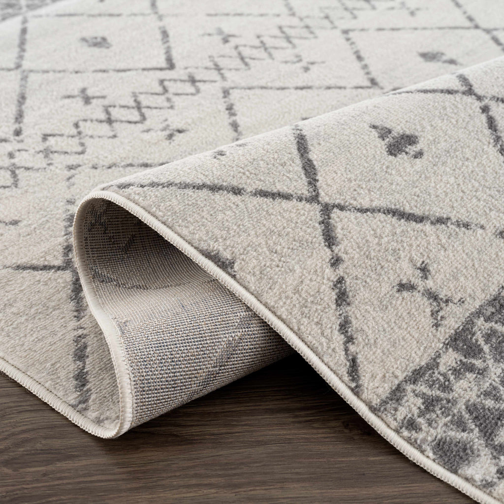 Hauteloom Newville NEWV White Machine Made Polypropylene Rug