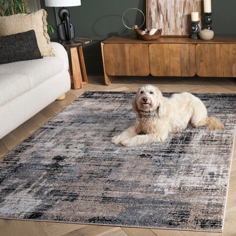 safavieh clearance sable sab100a ivory rug