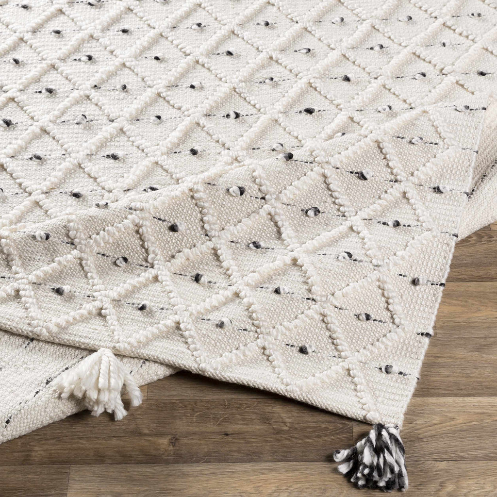 Hauteloom Sadleir SADLE Black Woven/Flatwoven RecycledPETYarn Rug