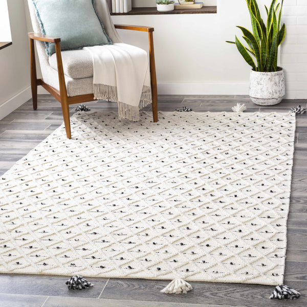 Hauteloom Sadleir SADLE Black Woven/Flatwoven RecycledPETYarn Rug