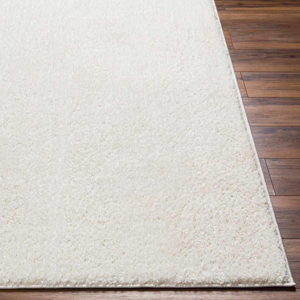 Hauteloom Judy SAFAJUDY890 Off White Machine Made Polyester Rug