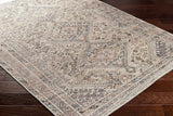 Hauteloom Barny SAMABARNYA4 Ivory Machine Made Polyester Rug