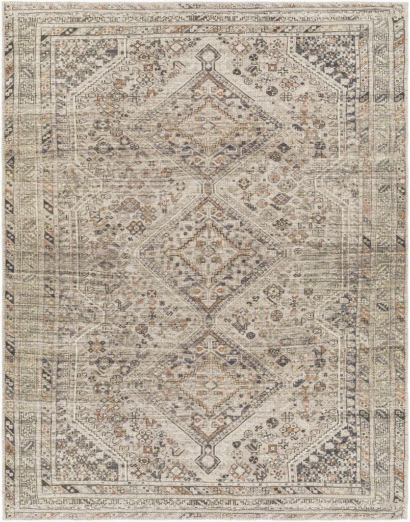 Hauteloom Barny SAMABARNYA5 Ivory Machine Made Polyester Rug