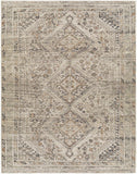 Hauteloom Barny SAMABARNYA5 Ivory Machine Made Polyester Rug