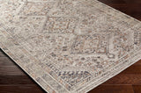 Hauteloom Barny SAMABARNYA5 Ivory Machine Made Polyester Rug