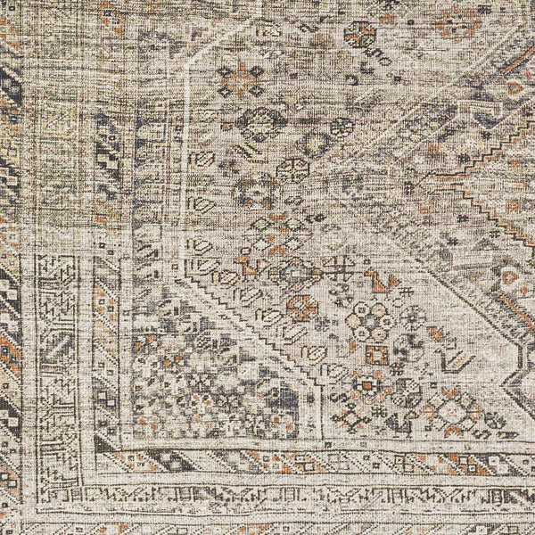 Hauteloom Barny SAMABARNYA5 Ivory Machine Made Polyester Rug