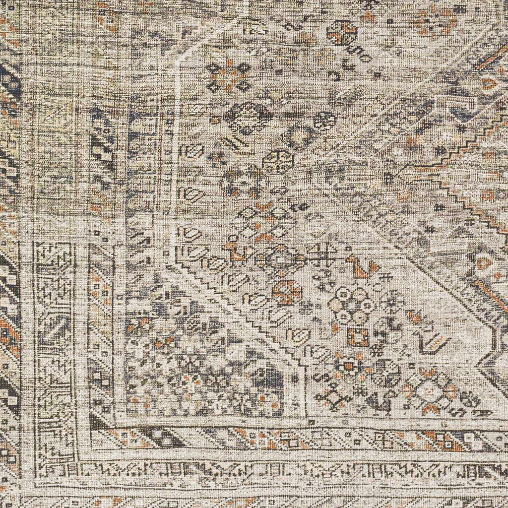 Hauteloom Barny SAMABARNYA5 Ivory Machine Made Polyester Rug