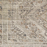 Hauteloom Barny SAMABARNYA5 Ivory Machine Made Polyester Rug
