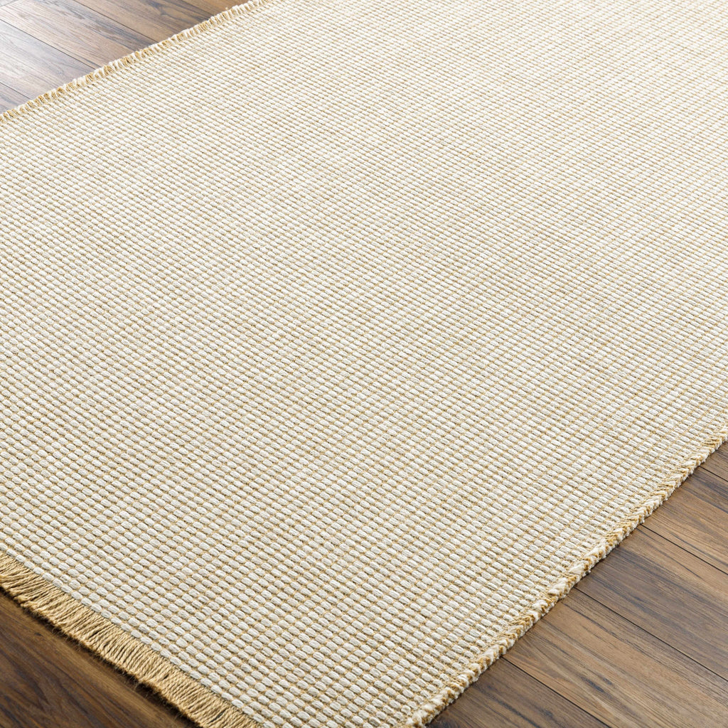 Hauteloom Nhung SBBKNHUNGA1 Taupe Machine Made Jute Rug