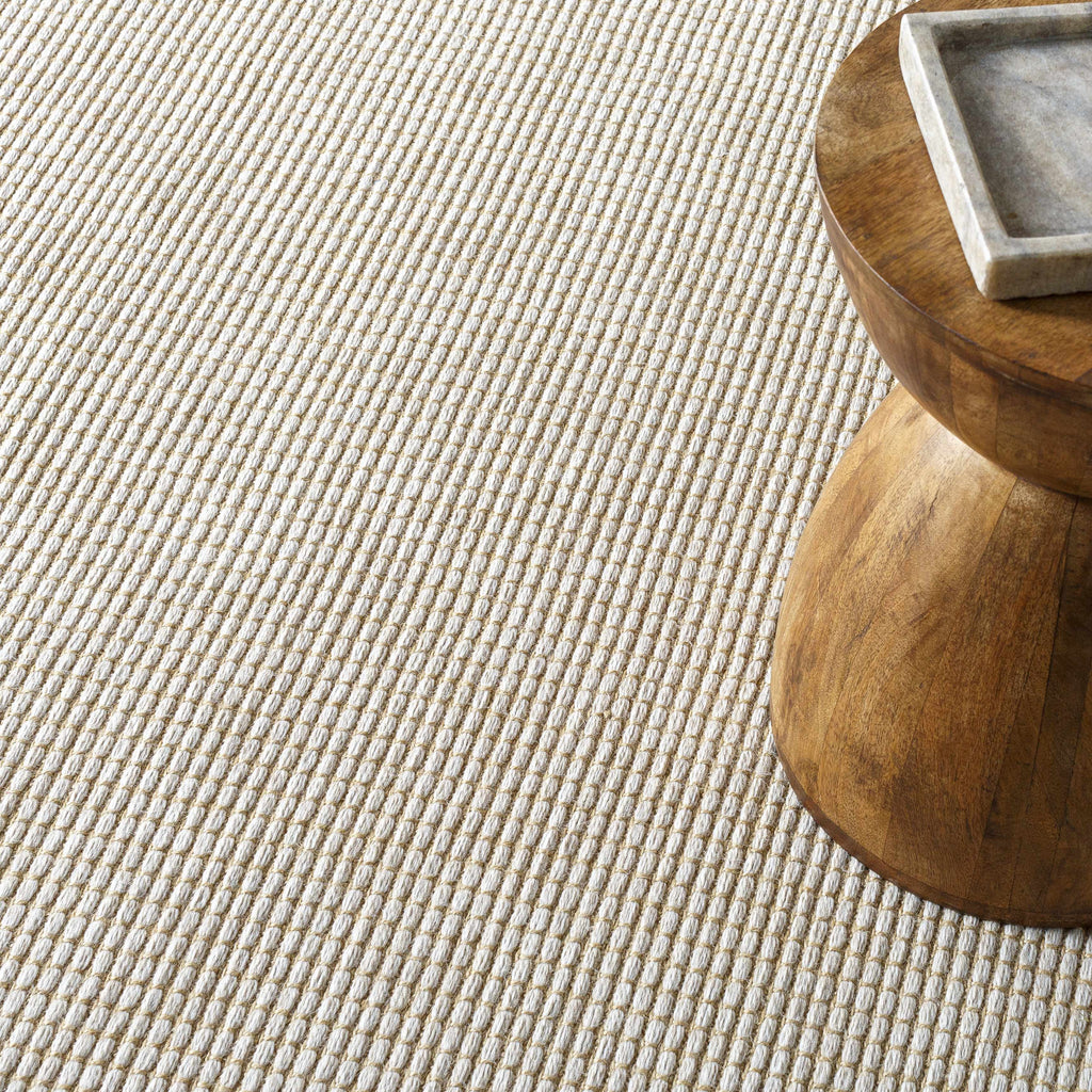 Hauteloom Nhung SBBKNHUNGA1 Taupe Machine Made Jute Rug